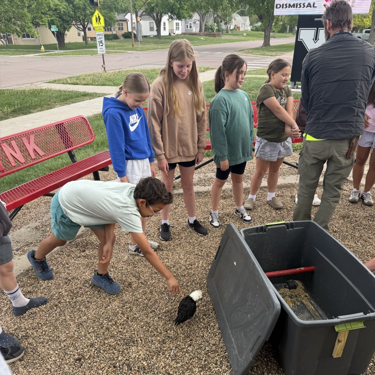 Beadle fourth graders in Mrs. Lukkes's class had some surprise visitors today. They got to see and learn about a classmate's chickens! We also learned how many of our classmates also had chickens at home too!
