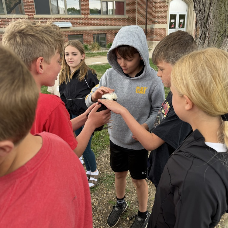 Beadle fourth graders in Mrs. Lukkes's class had some surprise visitors today. They got to see and learn about a classmate's chickens! We also learned how many of our classmates also had chickens at home too!