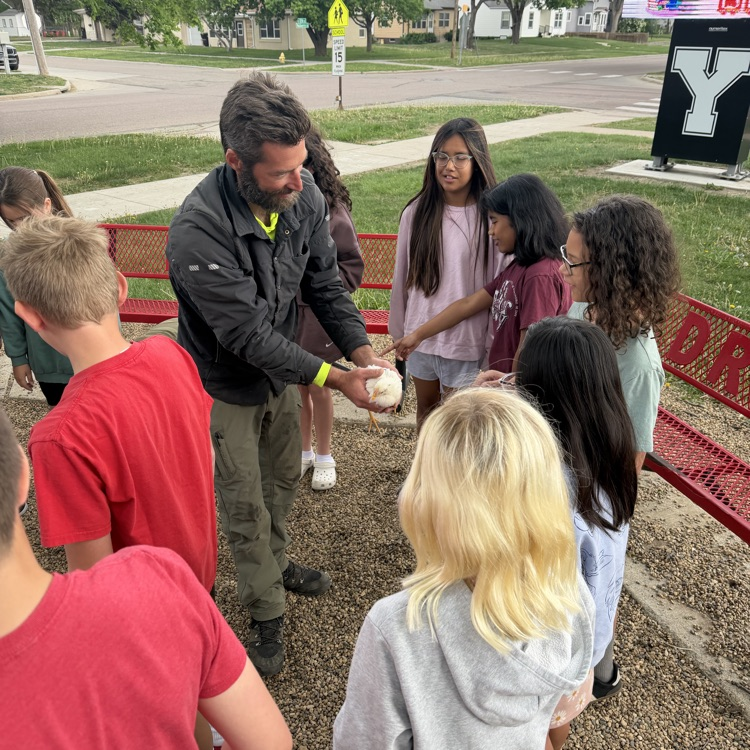 Beadle fourth graders in Mrs. Lukkes's class had some surprise visitors today. They got to see and learn about a classmate's chickens! We also learned how many of our classmates also had chickens at home too!
