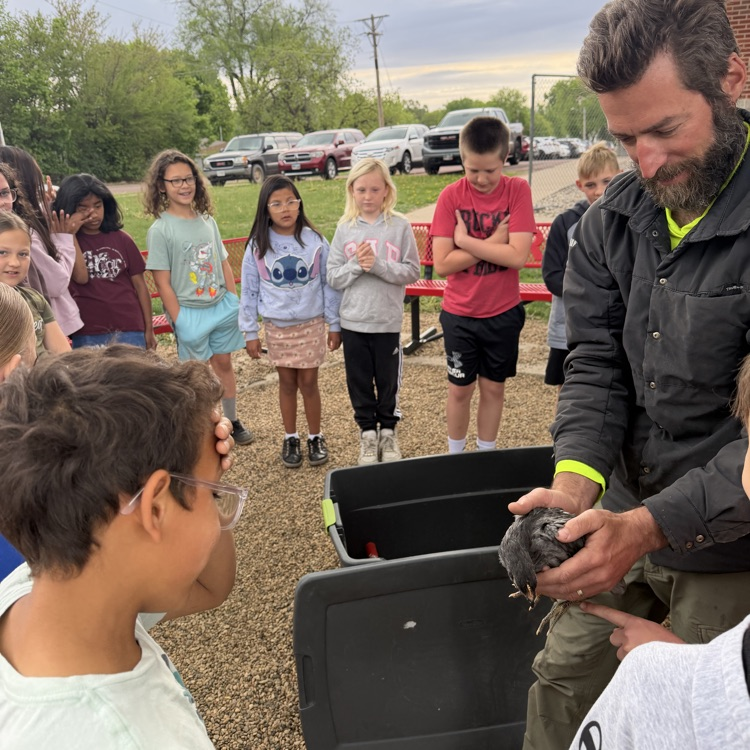 Beadle fourth graders in Mrs. Lukkes's class had some surprise visitors today. They got to see and learn about a classmate's chickens! We also learned how many of our classmates also had chickens at home too!