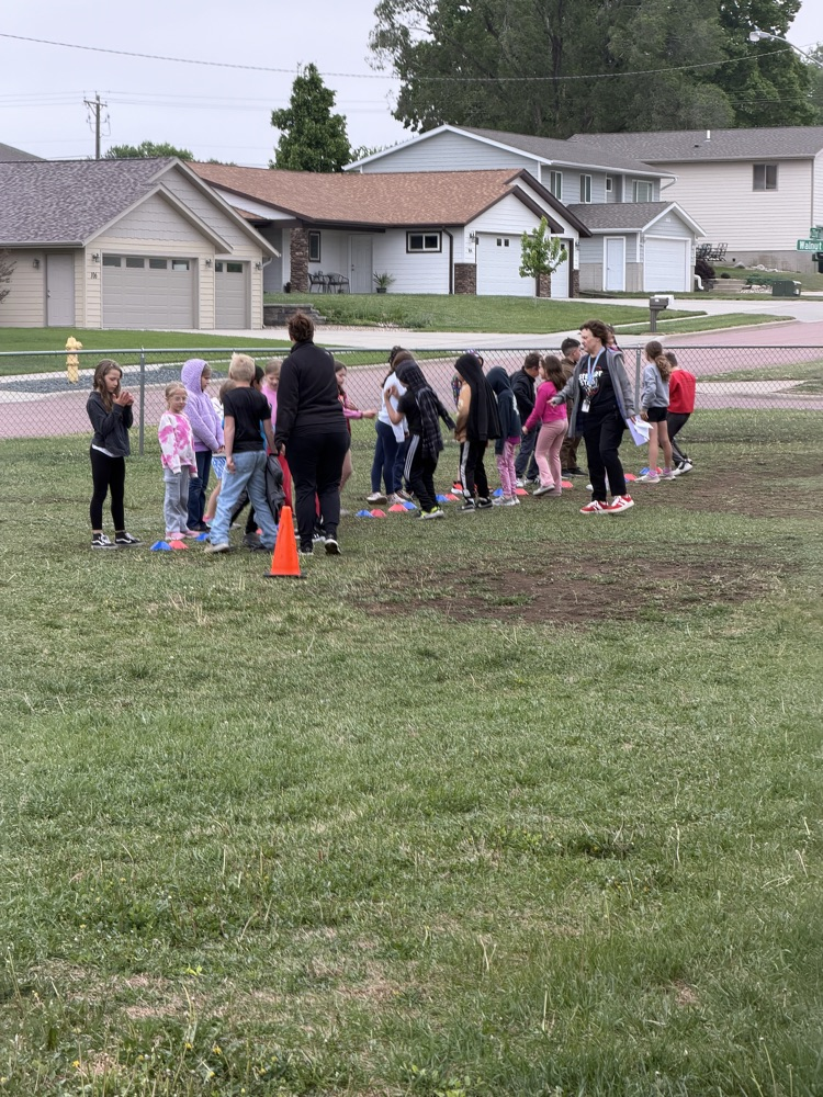 field day