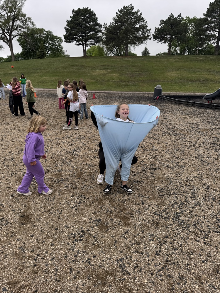 fun field day
