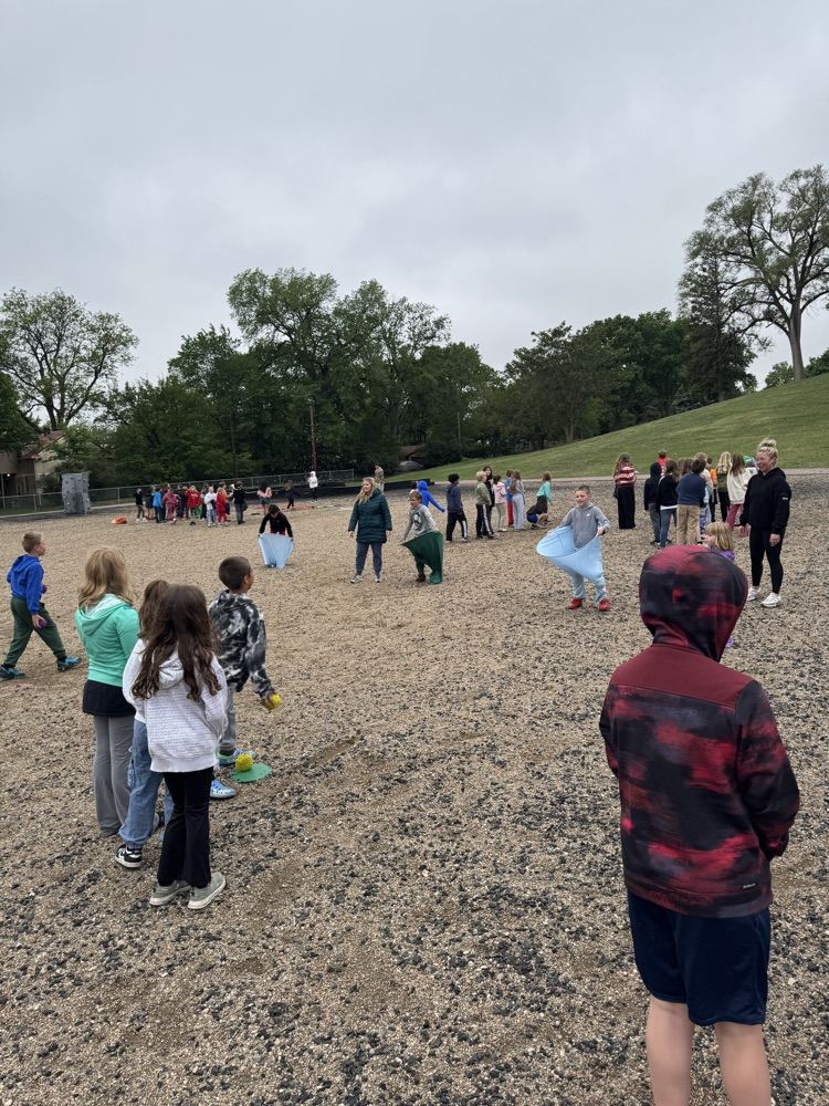fun field day