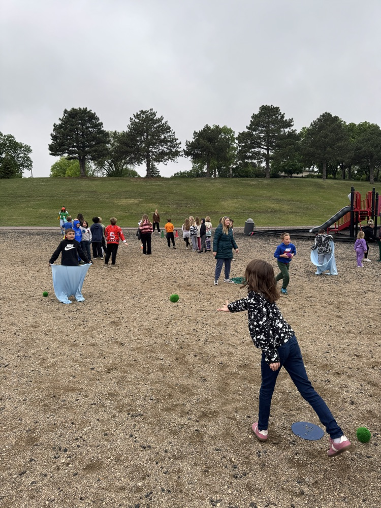 fun field day