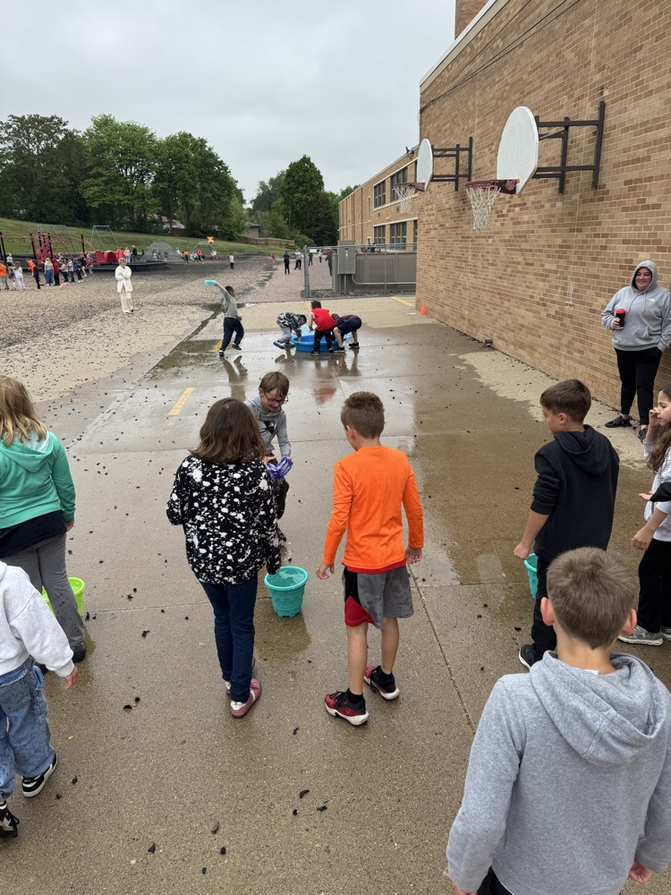 fun field day