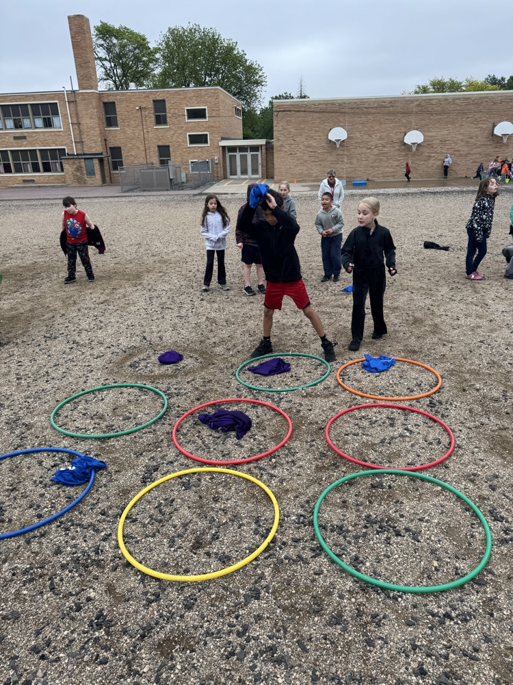 fun field day