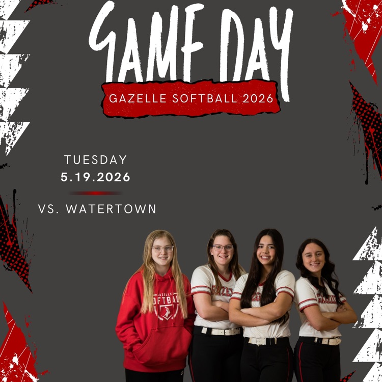 YHS Softball Seniors