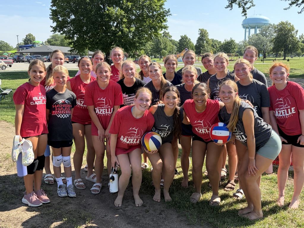 Gazelle Sand VB