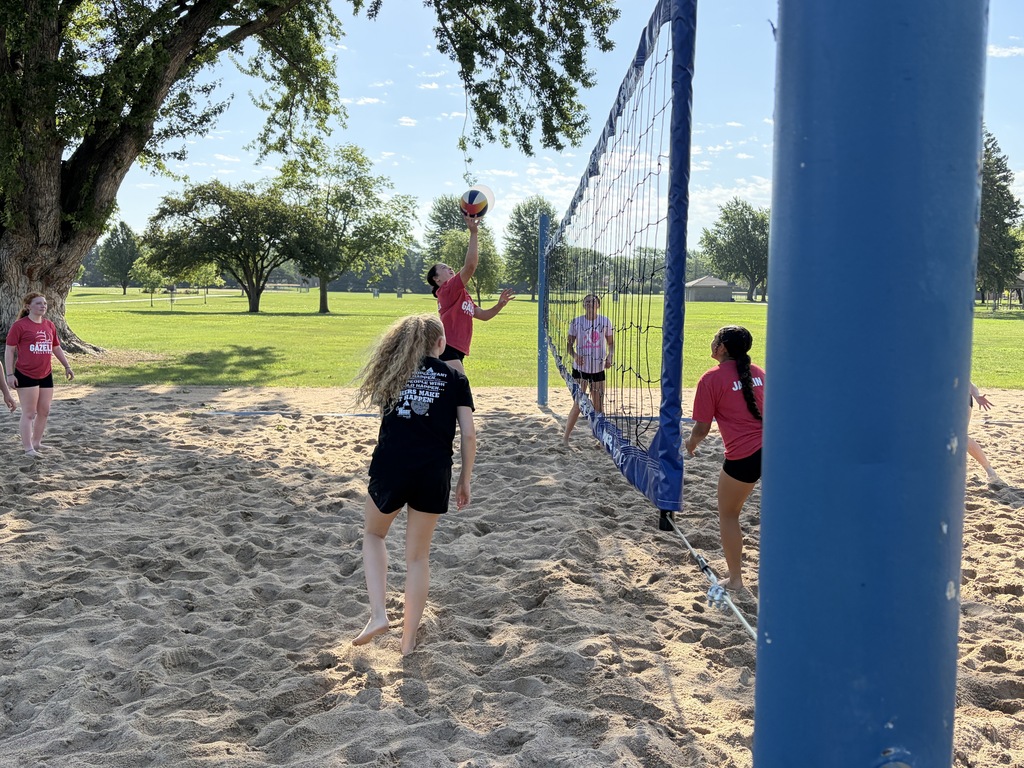 Gazelle Sand VB