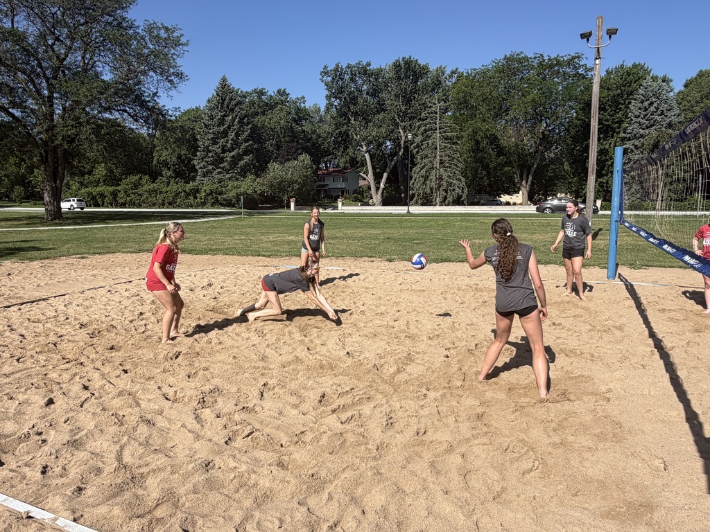 Gazelle Sand VB