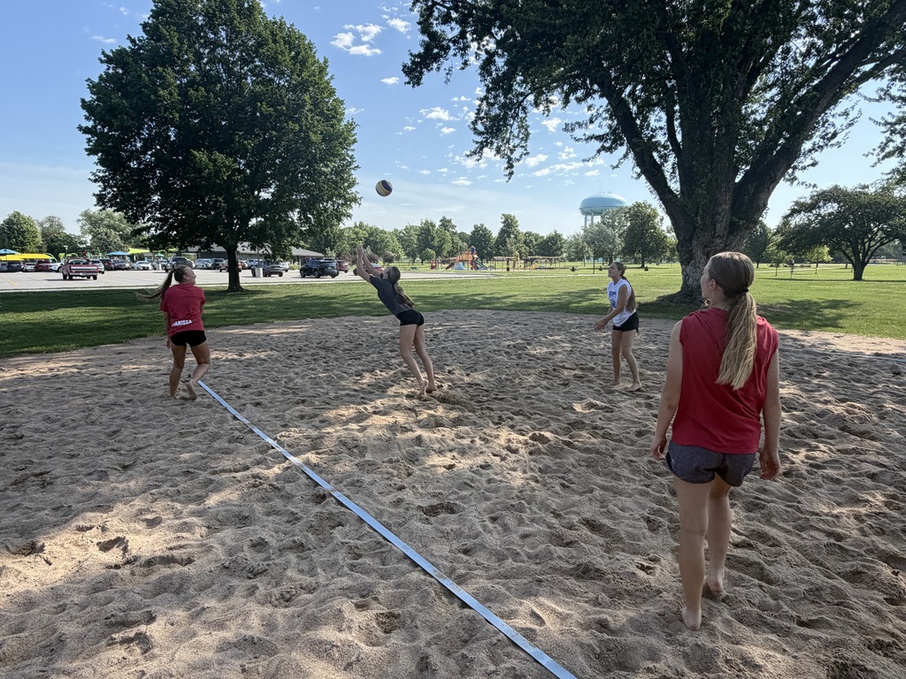 Gazelle Sand VB