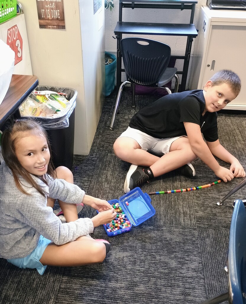 STEM6