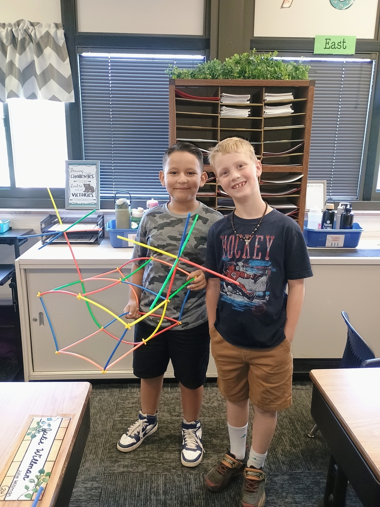 STEM5