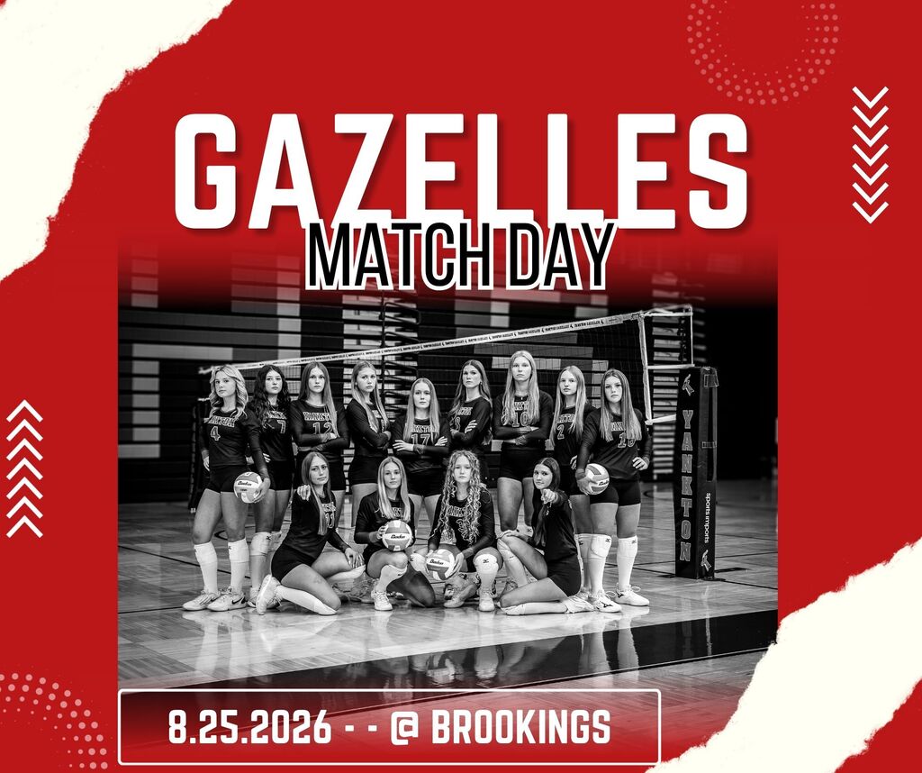 VB Team