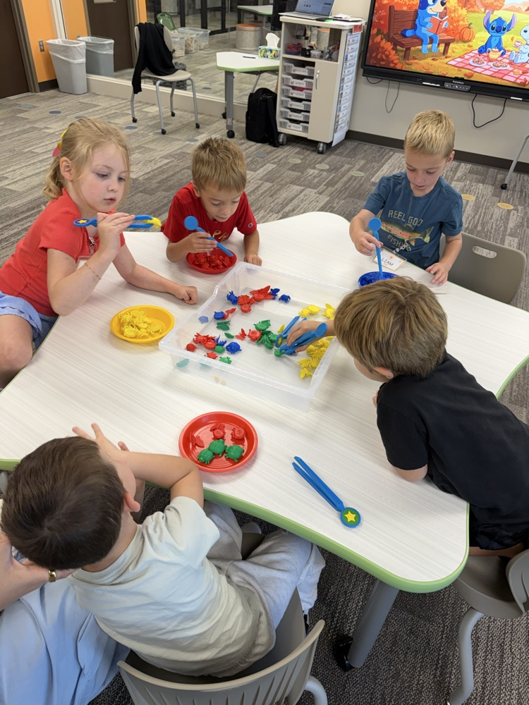 fine motor