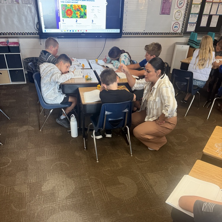 Beadle 4th graders in Mrs. Lukkes's class put on their science hats and got to investigate and observe marigolds. They sketched the plant parts. They explored their functions and had discussions with partners.