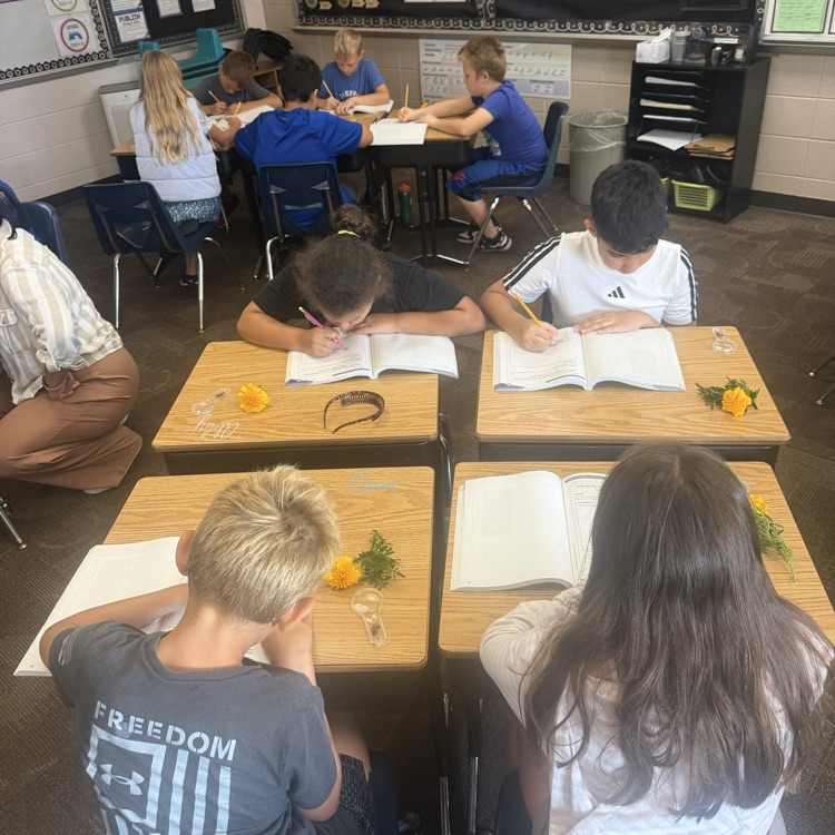 Beadle 4th graders in Mrs. Lukkes's class put on their science hats and got to investigate and observe marigolds. They sketched the plant parts. They explored their functions and had discussions with partners.