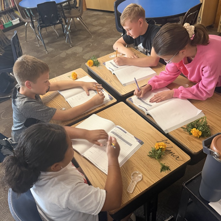 Beadle 4th graders in Mrs. Lukkes's class put on their science hats and got to investigate and observe marigolds. They sketched the plant parts. They explored their functions and had discussions with partners.