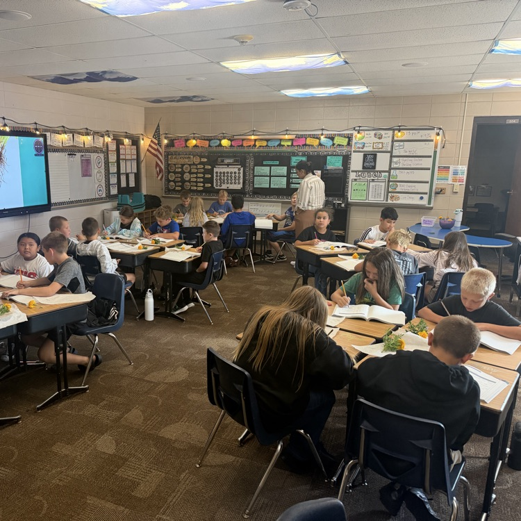 Beadle 4th graders in Mrs. Lukkes's class put on their science hats and got to investigate and observe marigolds. They sketched the plant parts. They explored their functions and had discussions with partners.
