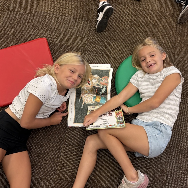 Mrs. Vlasman's 2nd graders are LOVING the new Beadle Library!