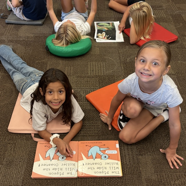 Mrs. Vlasman's 2nd graders are LOVING the new Beadle Library!