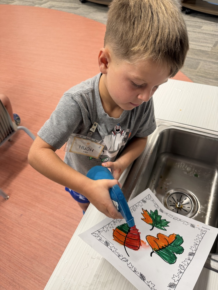 fine motor