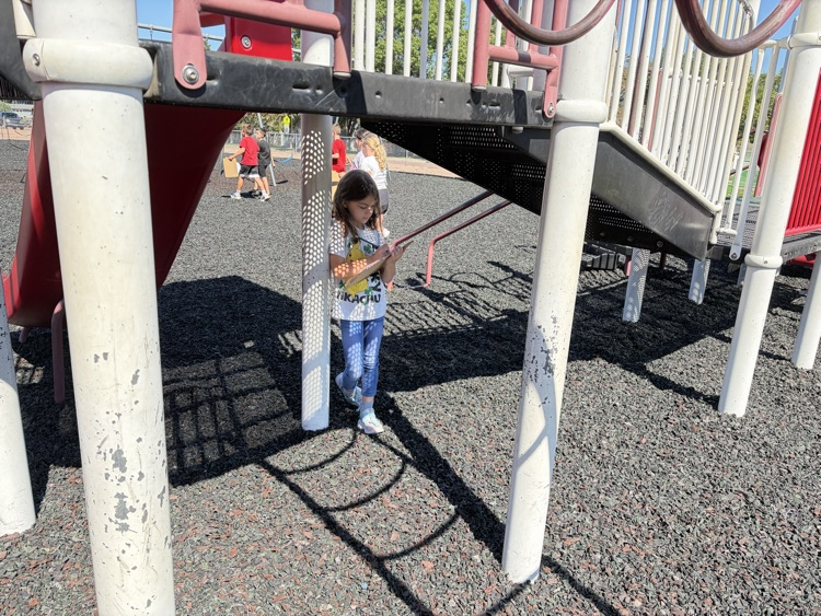Mrs. Krommenhoek’s second graders went on a “WalkSTEM Tour” to observe and explore the various properties of our playground equipment! 
