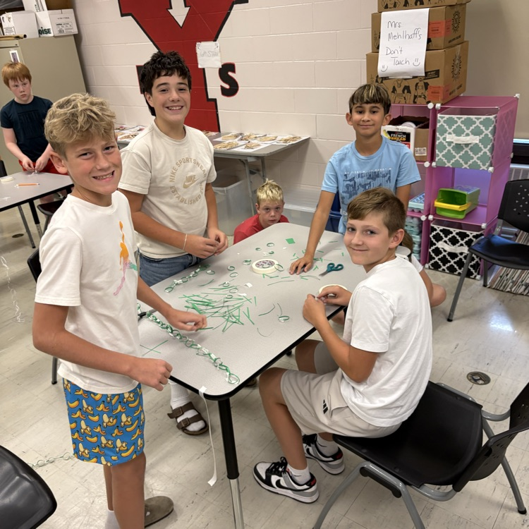STEM group D
