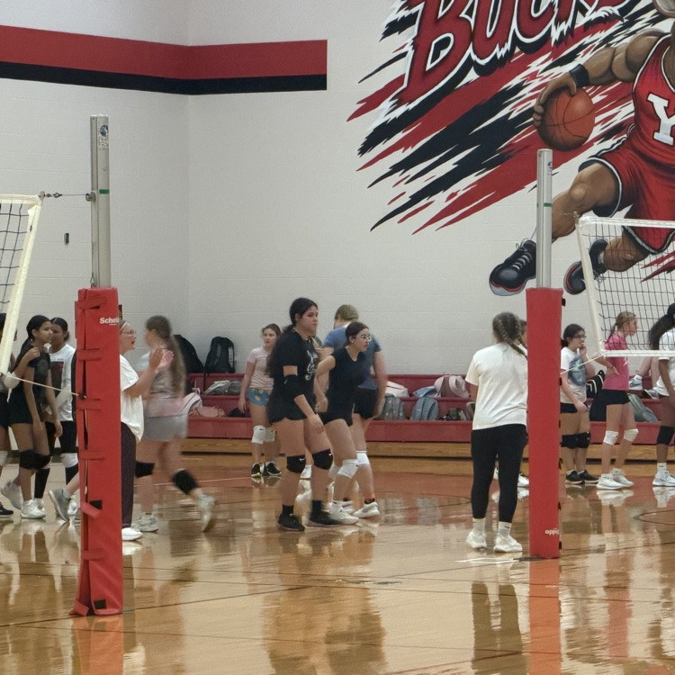 Gazelle volleyball players coming together to celebrate Homecoming and building the program. YHS Gazelles led the sixth, seventh, and eighth grade practice by sharing their knowledge and love of volleyball!