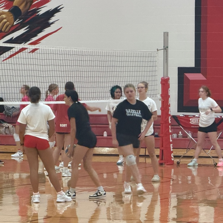 Gazelle volleyball players coming together to celebrate Homecoming and building the program. YHS Gazelles led the sixth, seventh, and eighth grade practice by sharing their knowledge and love of volleyball!