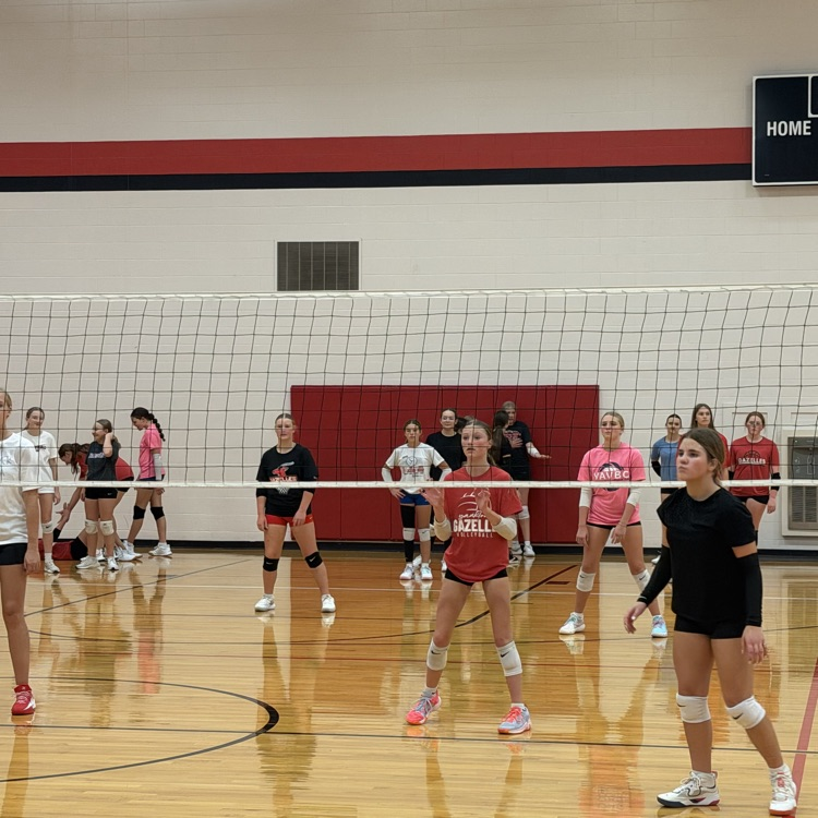 Gazelle volleyball players coming together to celebrate Homecoming and building the program. YHS Gazelles led the sixth, seventh, and eighth grade practice by sharing their knowledge and love of volleyball!