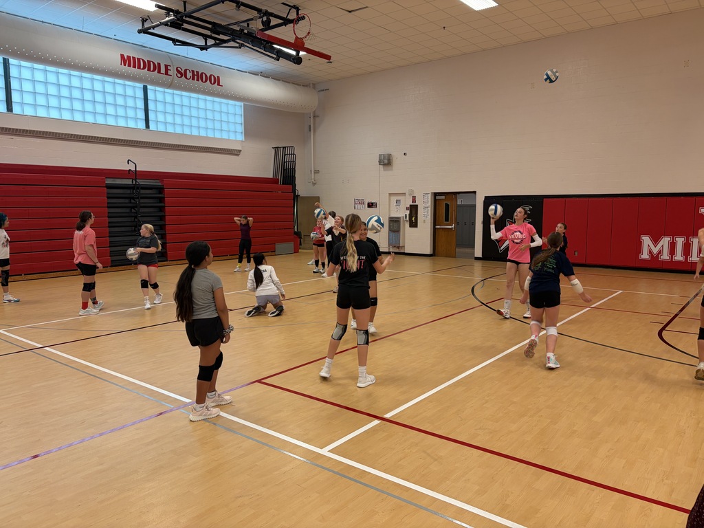Volleyball