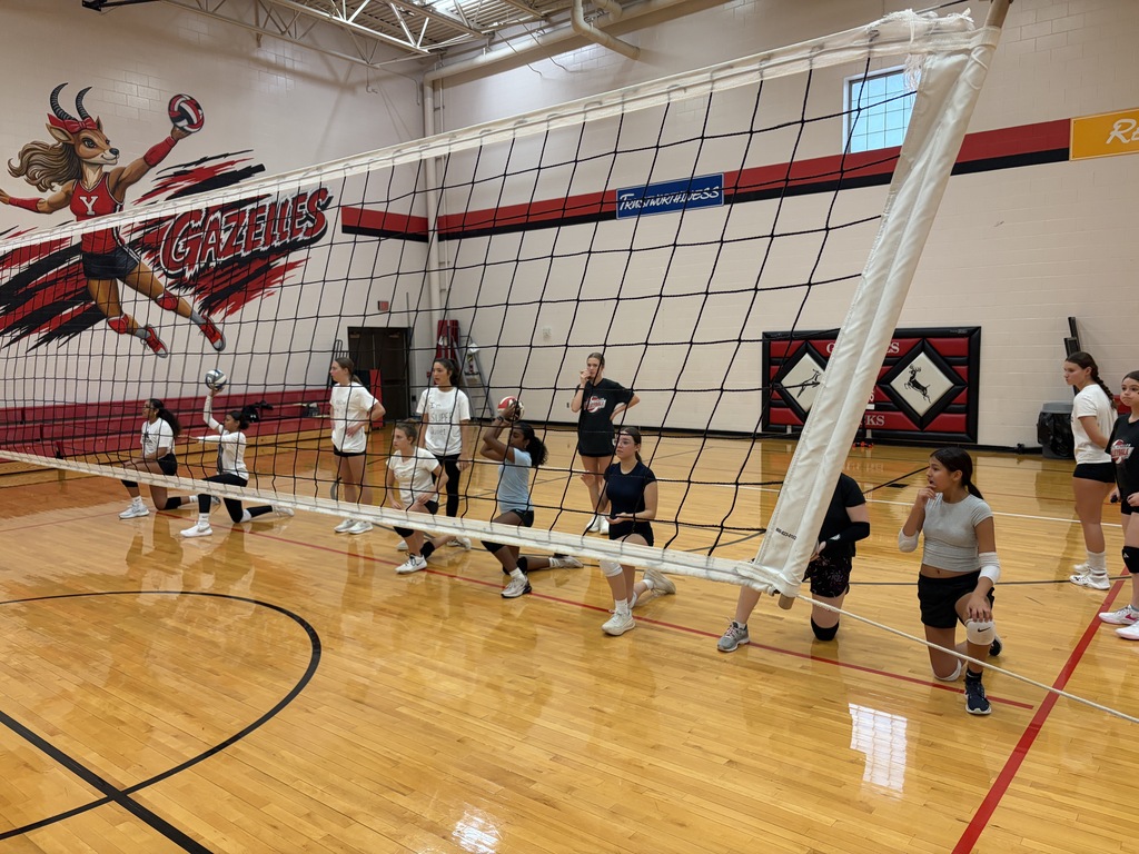 Volleyball