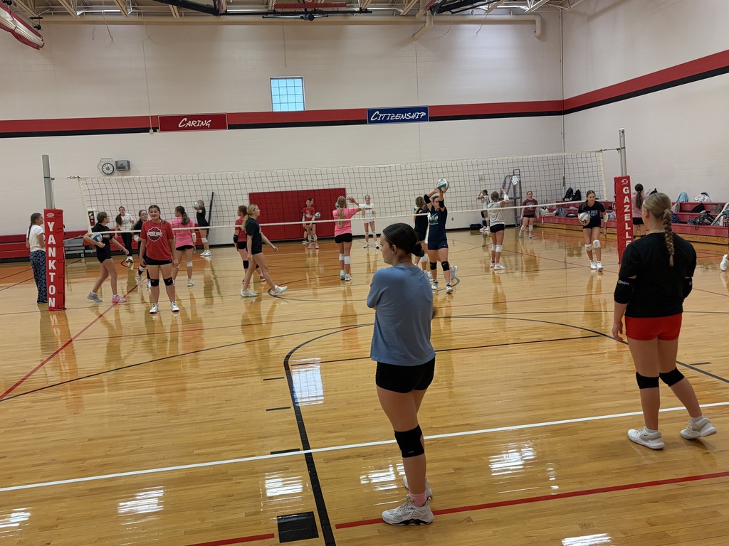 Volleyball
