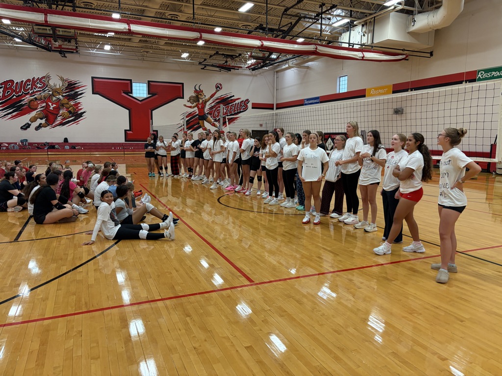 Volleyball