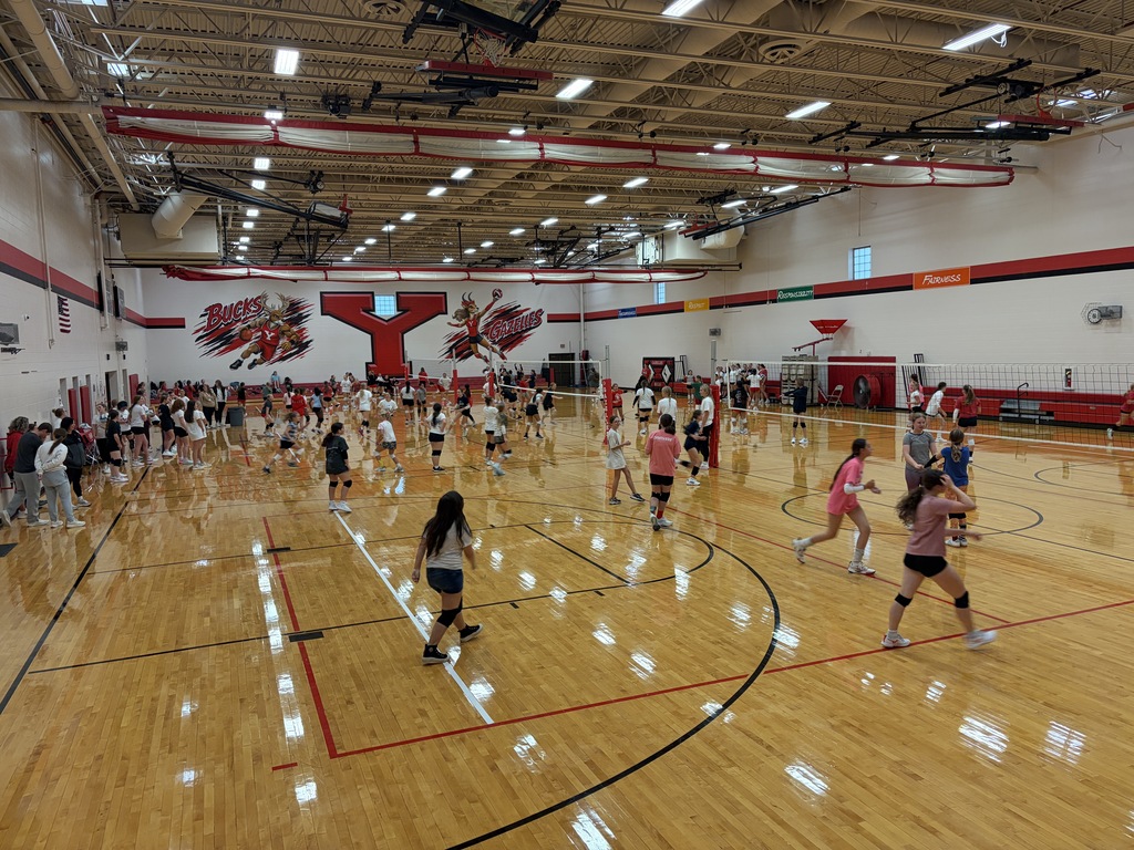 Volleyball