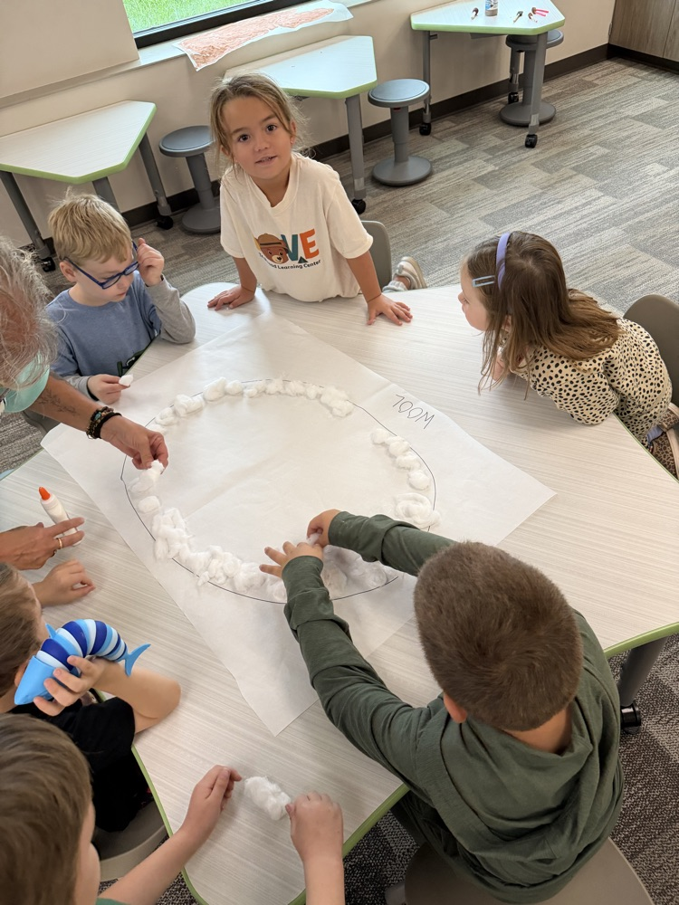 fine motor