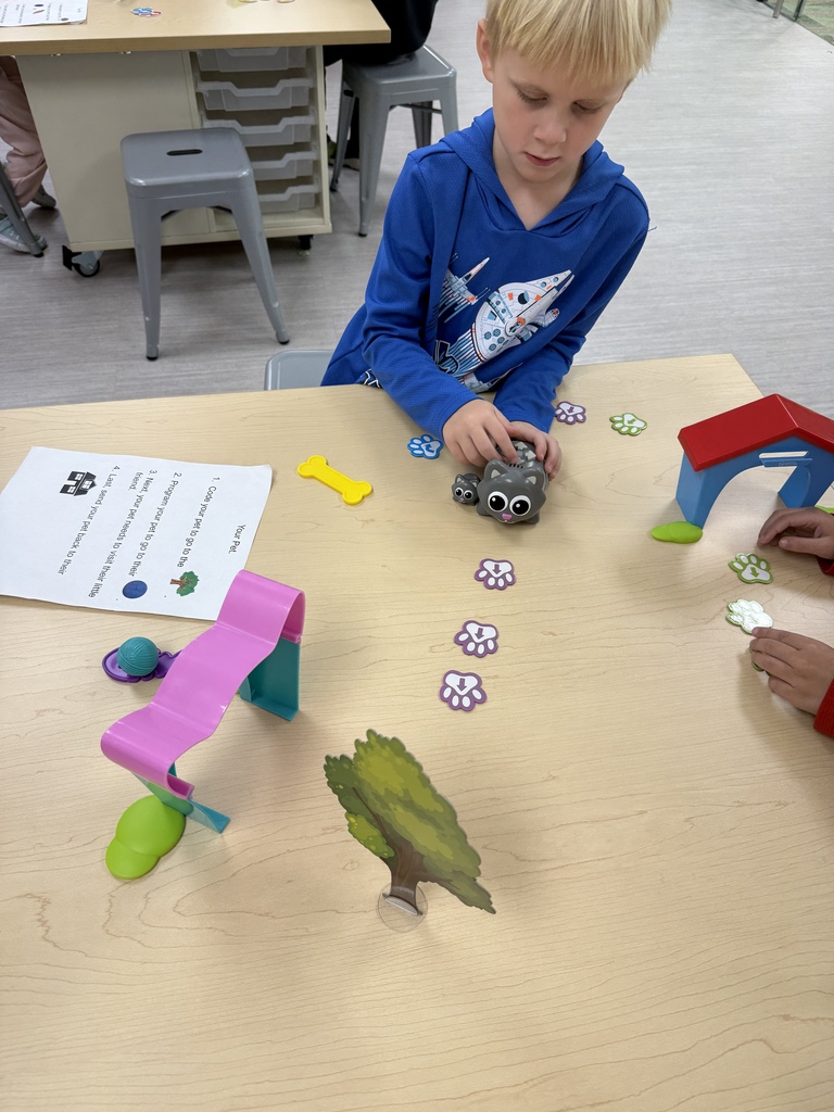 Student Coding