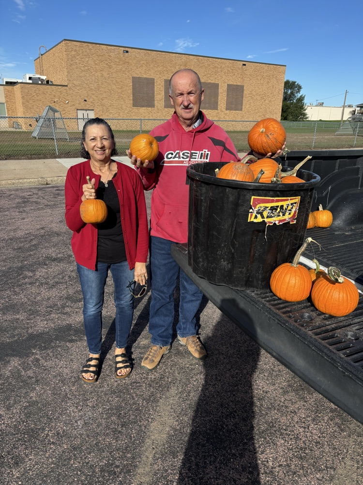 pumpkins