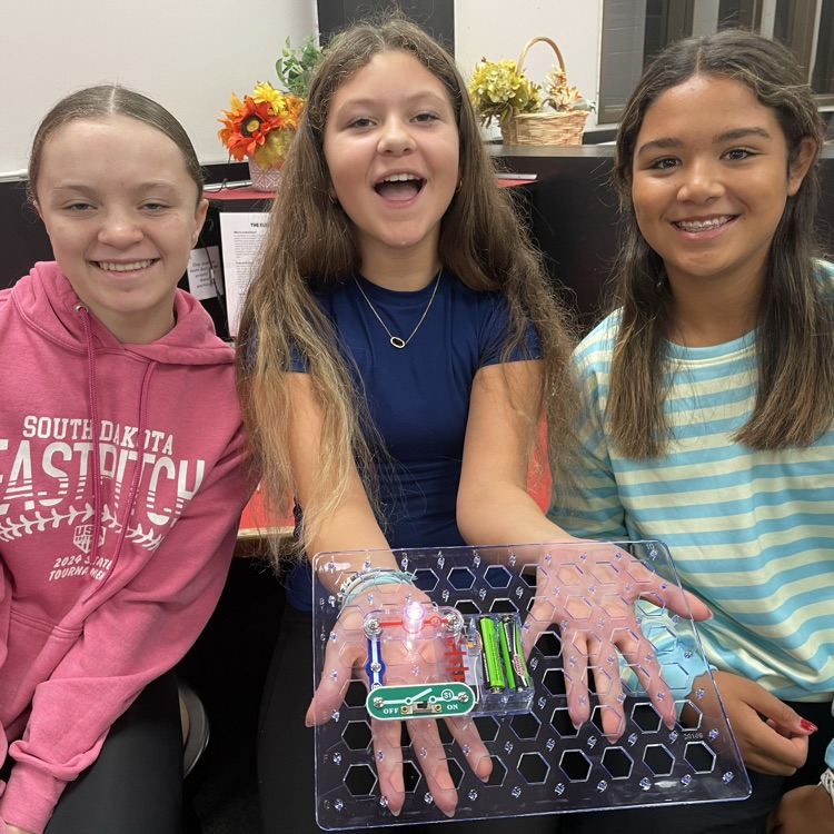 Mrs. Stanosheck's 7th grade Technical Career Exploration classes did electrical projects with snap circuits today. 