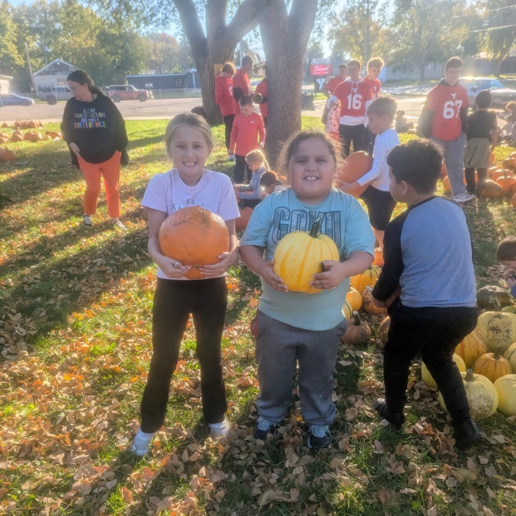 Ah-Mazing pumpkins!