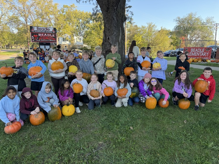 pumpkins