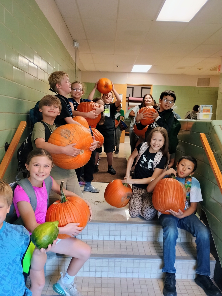 pumpkins!