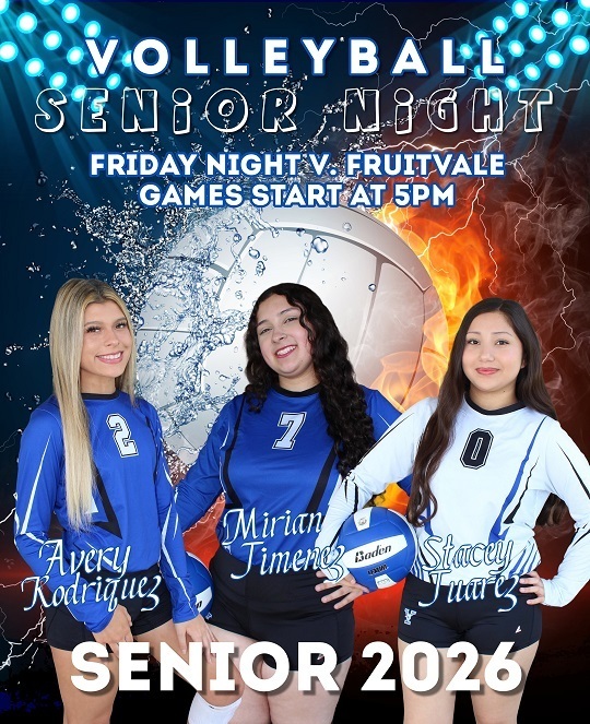 Volleyball Team Poster