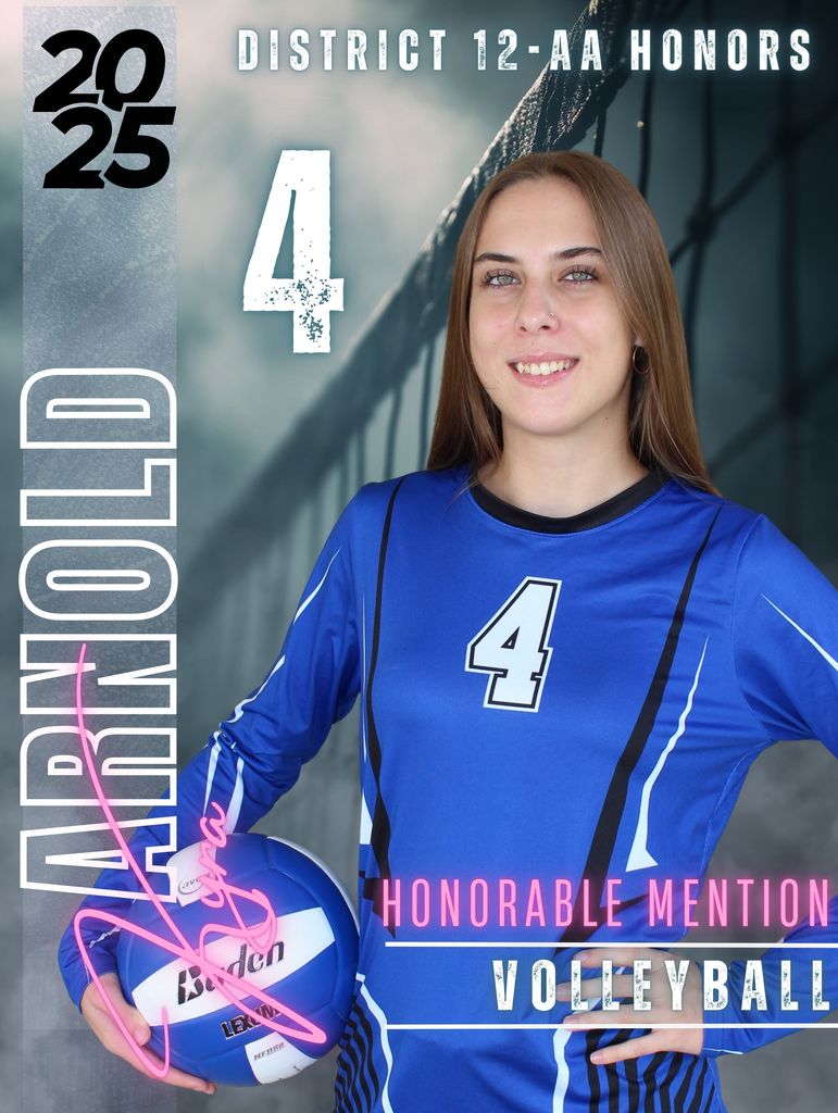 Volleyball District Honors Award Winner