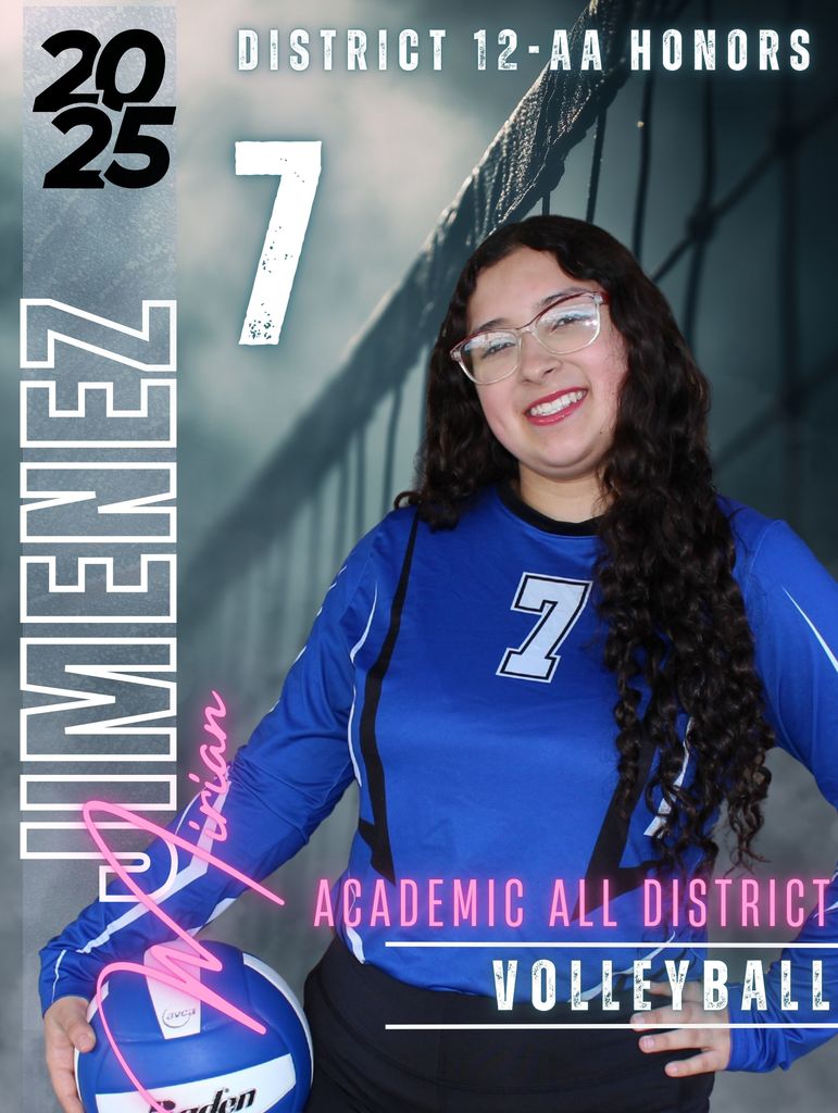Volleyball District Honors Award Winner