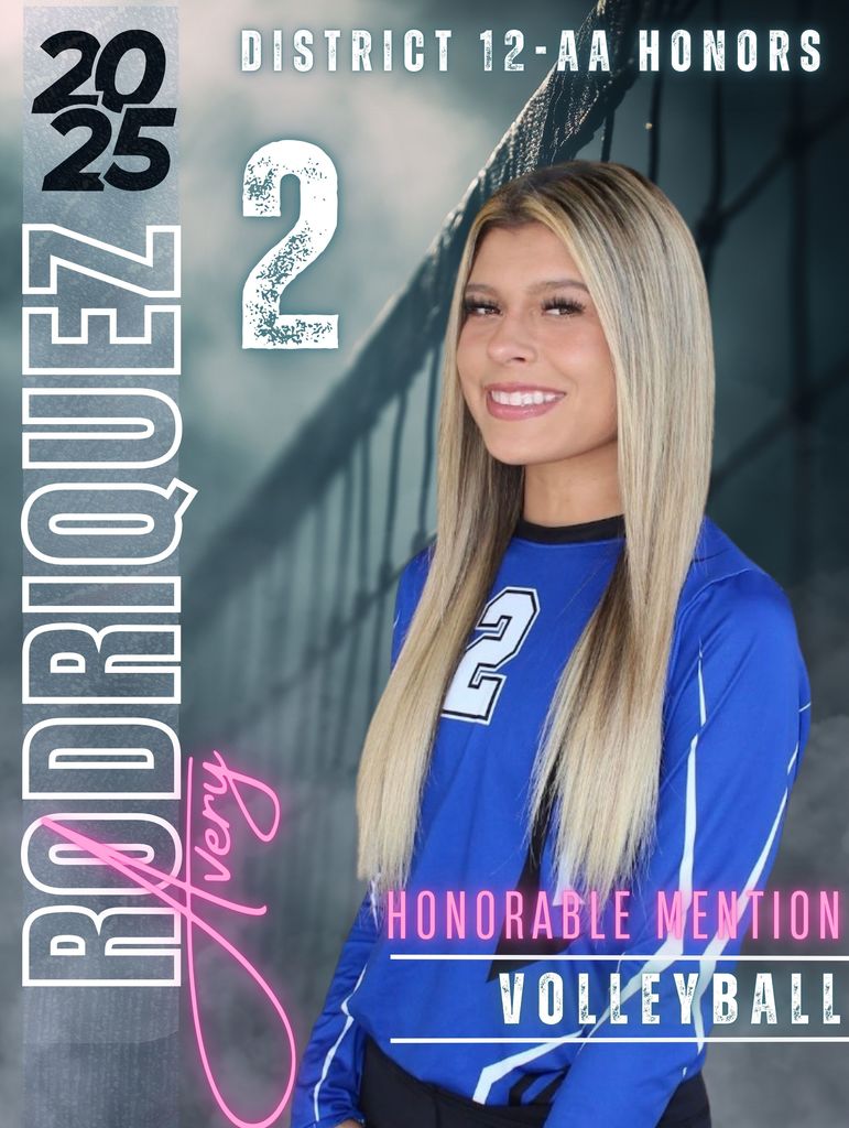 Volleyball District Honors Award Winner