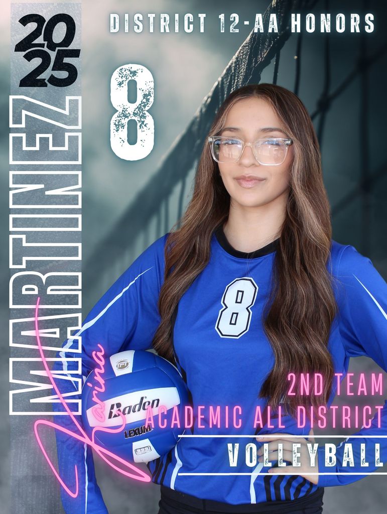 Volleyball District Honors Award Winner