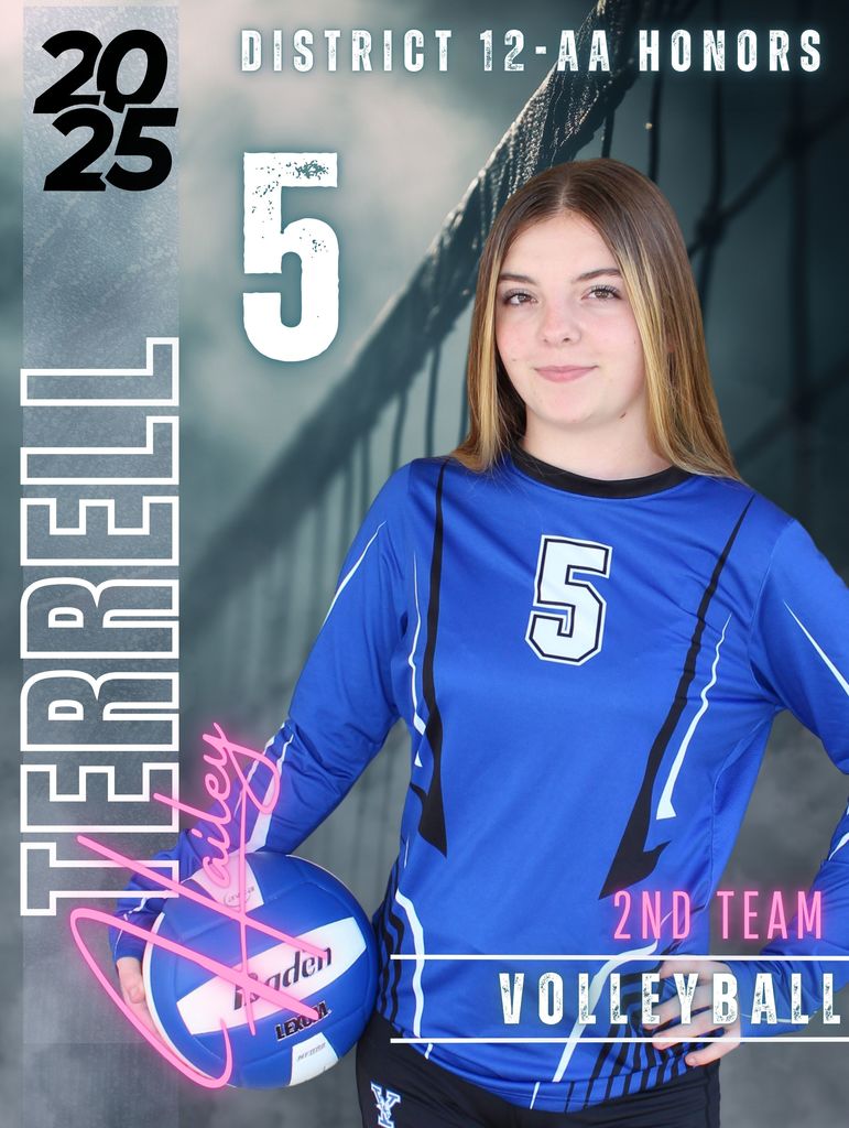 Volleyball District Honors Award Winner