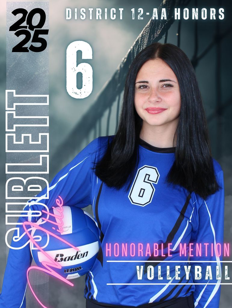 Volleyball District Honors Award Winner